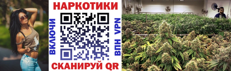 Где купить наркоту Афипский Конопля  Бутират  Псилоцибиновые грибы  Мефедрон  KRAKEN вход  A PVP 